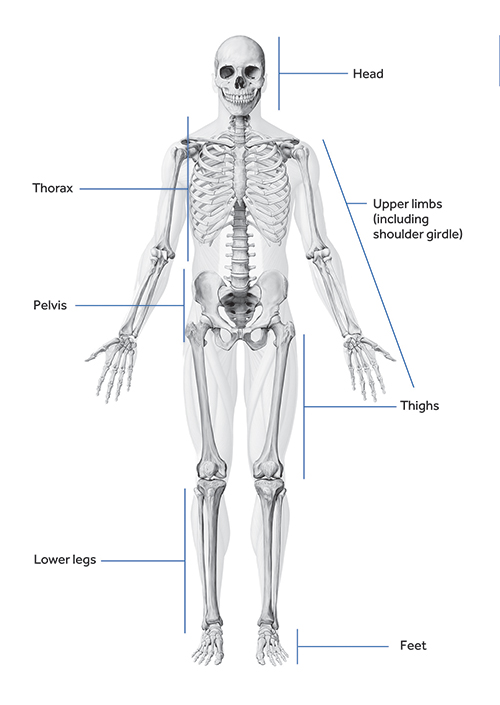 Good seated posture graphic