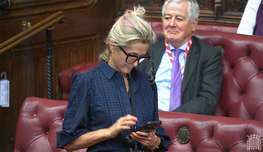 Baroness Lane-Fox image